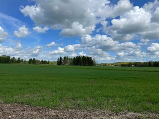 Casa de vacaciones Vedum  32