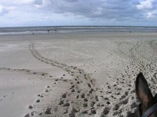 ...deine Spuren im Sand