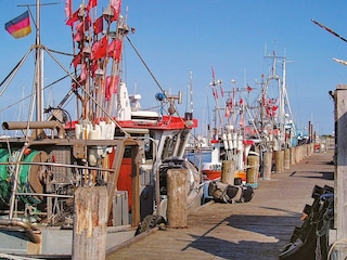 Apartment Wendtorf  6