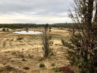 Ferienhaus Hovborg  31