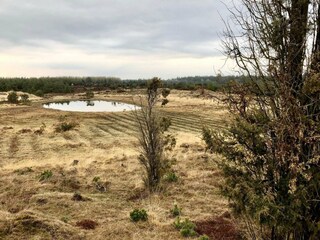 Ferienhaus Hovborg  32