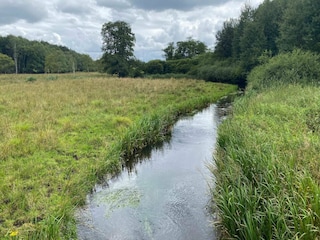 Ferienhaus Hovborg  4