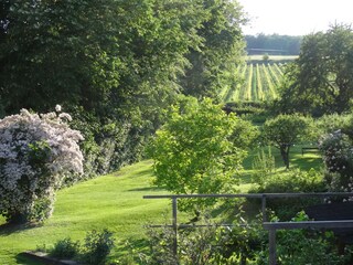 Apartamento de vacaciones Klosterneuburg Grabación al aire libre 6