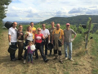 Appartement de vacances Klosterneuburg Enregistrement extérieur 7