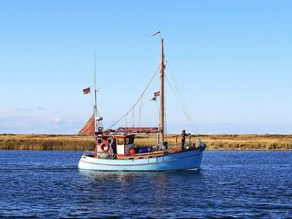 Apartment Wendtorf  5