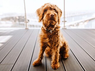 Apartment Wendtorf  56