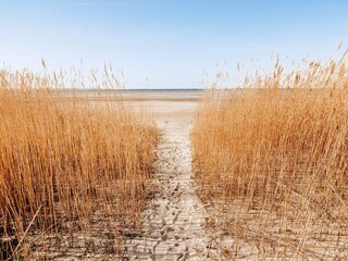 Appartement Wendtorf  31