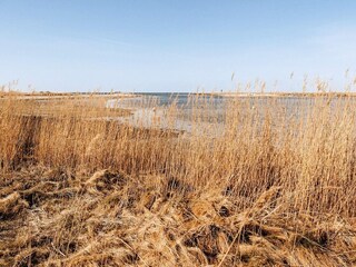 Appartamento Wendtorf  20