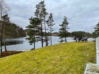 Holiday house Skjold Outdoor Recording 12