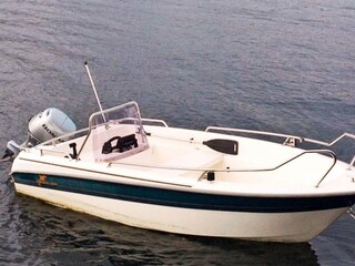 Ferienhaus Skjold  38