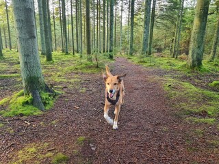 Ferienhaus Aalbæk  10