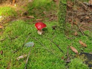 Vakantiehuis Aalbæk  26