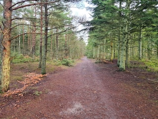 Holiday house Aalbæk  5