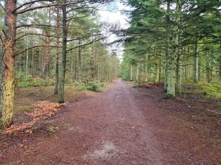 Vakantiehuis Aalbæk  9