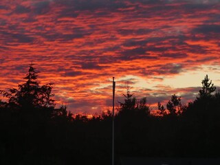 Casa de vacaciones Aalbæk  16