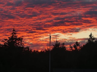 Ferienhaus Aalbæk  12