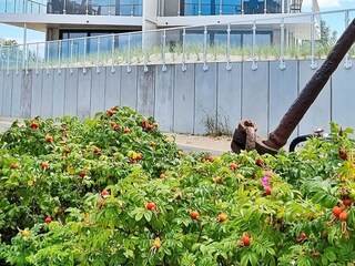 Appartement Wendtorf Buitenaudio-opname 2