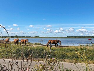 Maison de vacances Bogense  16