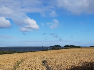 Vakantiehuis Bogense  18