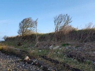 Casa de vacaciones Bogense  45