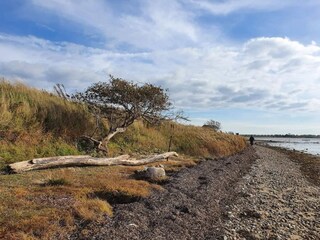 Casa de vacaciones Bogense  5