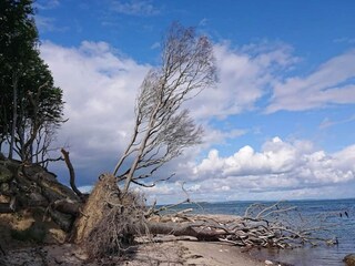 Holiday house Bogense  52