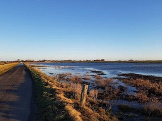 Vakantiehuis Bogense  53