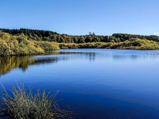 Vakantiehuis Trend  14