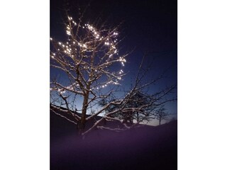 Winteridylle