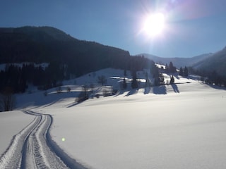 Winter Spaziergang