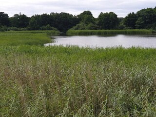 Vakantiehuis Ebeltoft  14