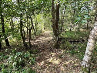 Ferienhaus Søndervig Außenaufnahme 6