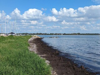Casa per le vacanze Reersø  40