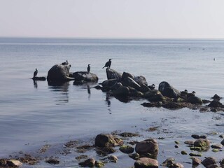 Casa per le vacanze Reersø  41