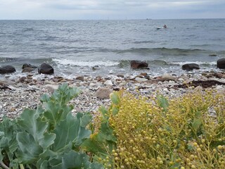 Maison de vacances Reersø  46