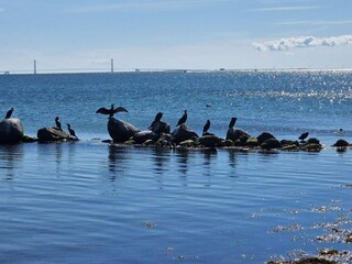 Casa per le vacanze Reersø  42