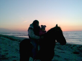 Sonnenuntergang - Reitausflug am Strand