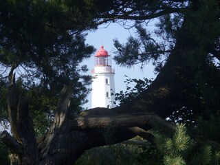 Kloster - Leuchtturm
