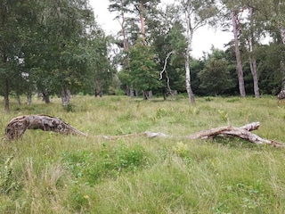 Ferienhaus Vaeggerløse  36