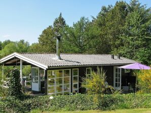 Holiday house 4 Personen Ferienhaus in Højslev - Ørslevkloster - image1