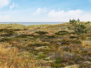 Maison de vacances Læsø  22