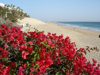 Strand von Morro Jable