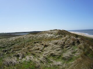 Dünen und Meer