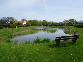 Der Park, in dem sich das Haus befindet.