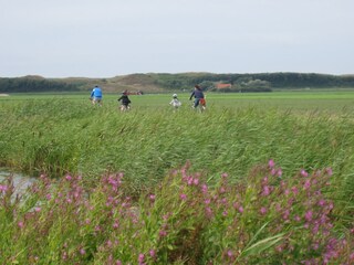 Vakantiehuis Julianadorp Omgeving 32