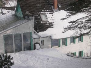 Ferienhaus Grand Chalet am Bergflüsschen