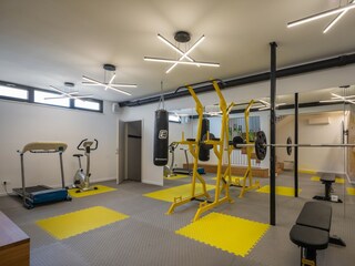 Villa Rumin Caratteristiche 39