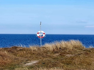 Ferienhaus Vaeggerløse  31