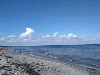 Casa per le vacanze Vaeggerløse  11