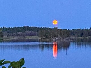 Vakantiehuis Mellerud  14